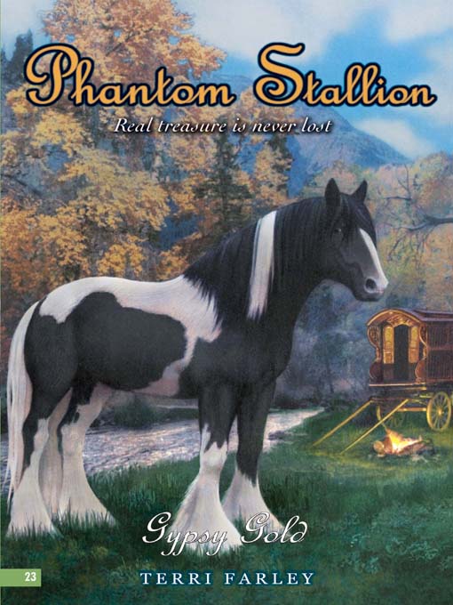 Cover image for Gypsy Gold